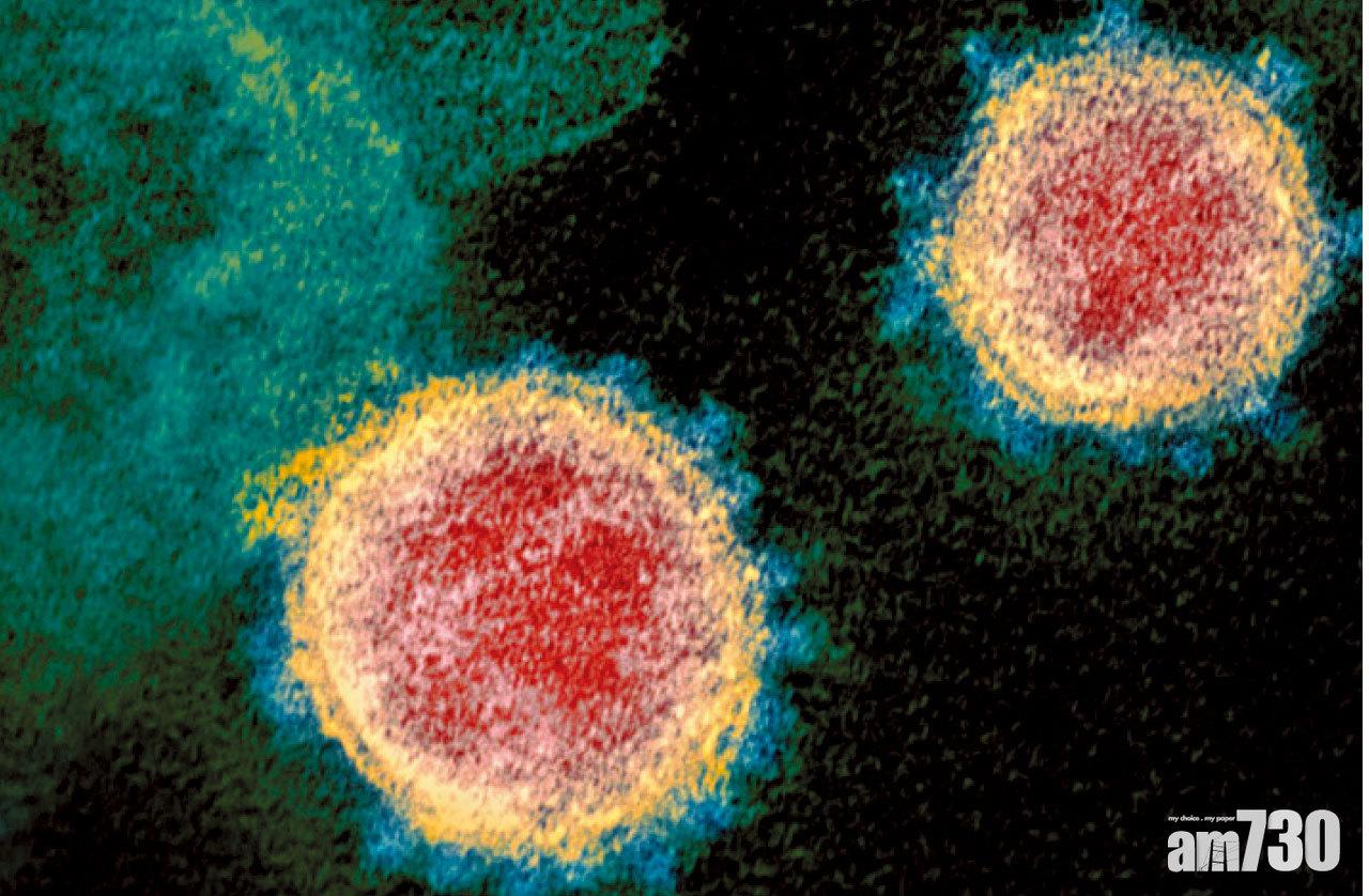 基因突變 突變次數稱霸 已殺入中英 南非驚見新變種病毒