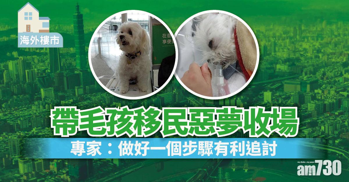 海外樓市｜毛孩移民隔離變噩夢 做足一個步驟利追討