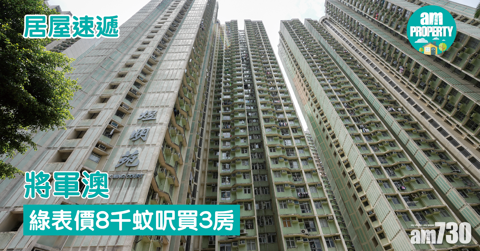 居屋速遞｜綠表價8千蚊呎 買將軍澳三房