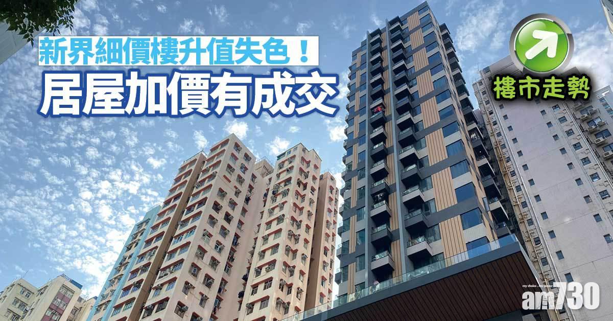 樓市走勢｜新界細價樓升值失色！居屋加價有成交