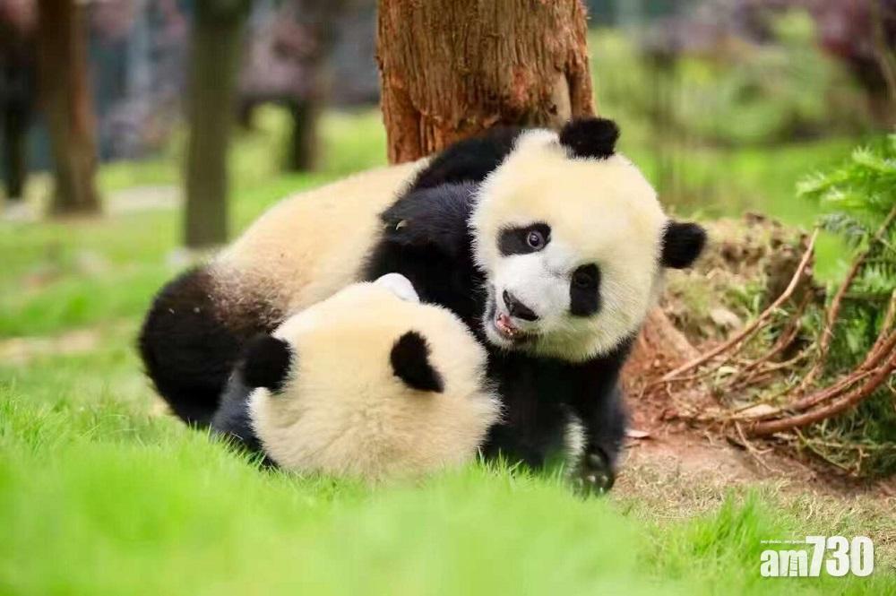 四川要求政府機構必須講普通話 網民：對外地人來說是福音