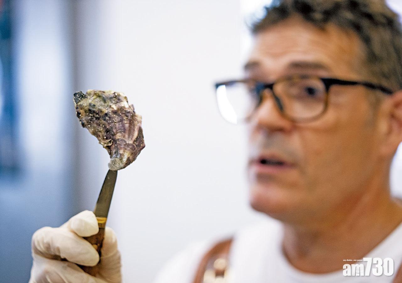 開蠔大師班 即開即嘗Appellation Oysters澳洲石蠔