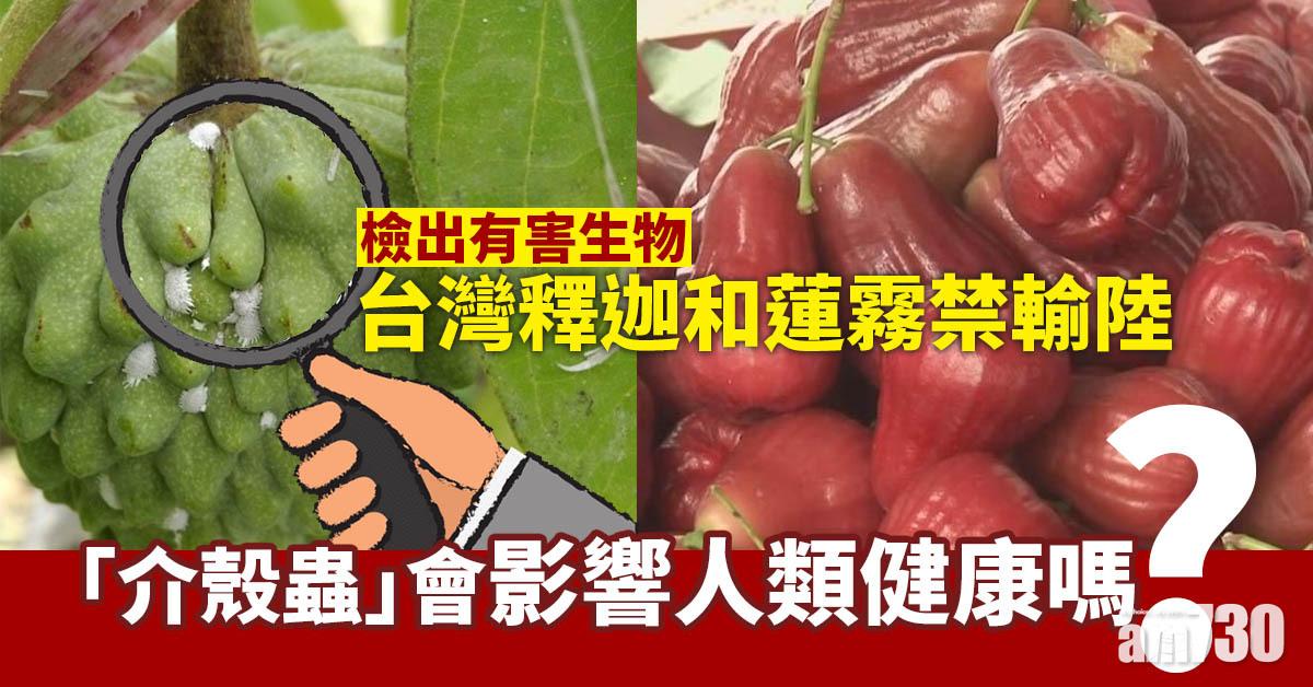 台灣釋迦蓮霧禁輸內地 「介殼蟲」會影響人類健康嗎？