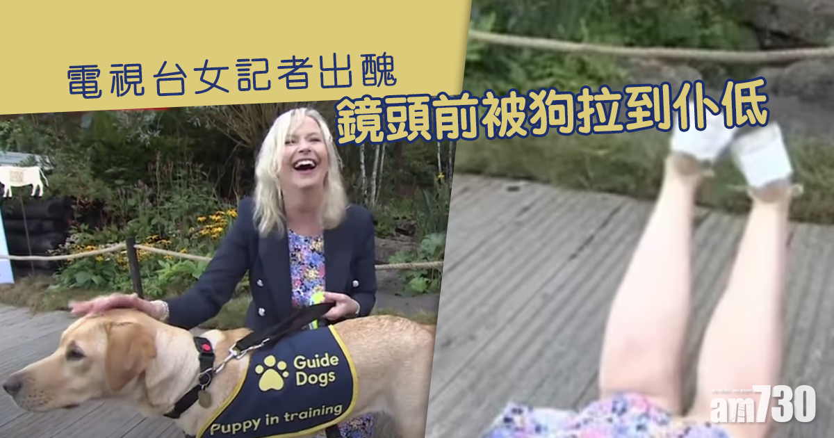 網上熱話｜電視台女記者出醜 鏡頭前被狗拉到仆低(有片)