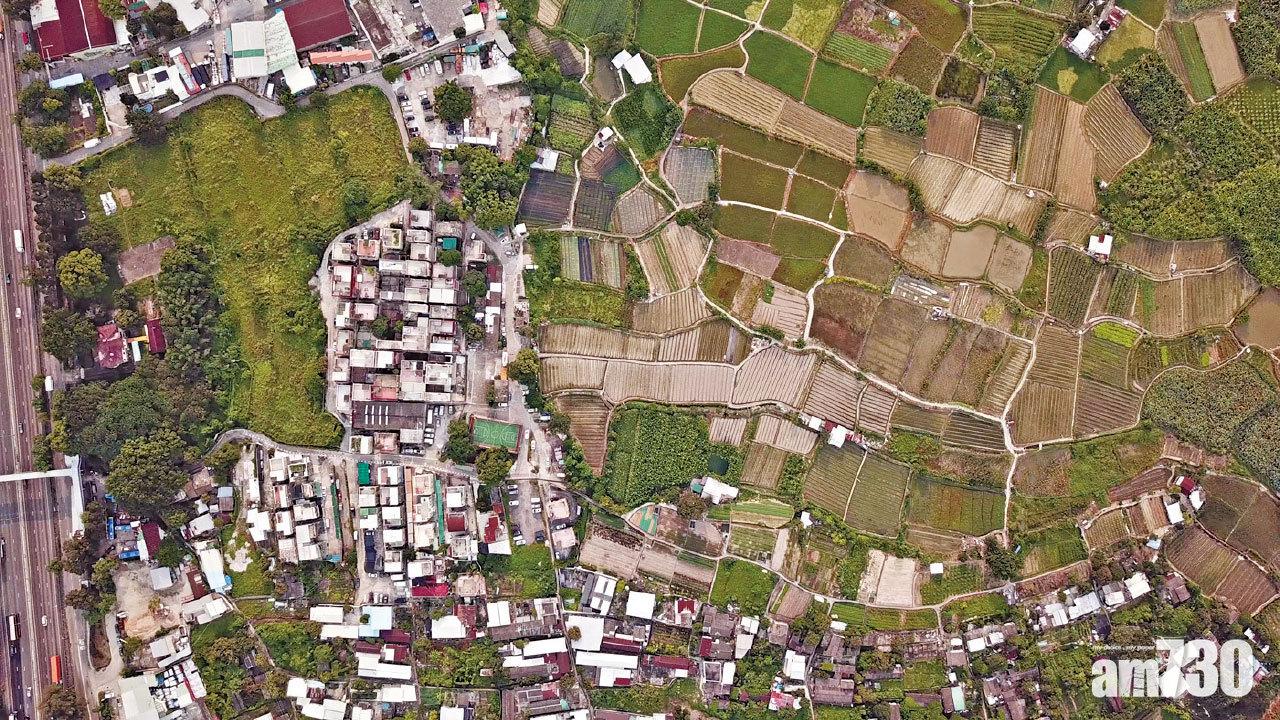 施政報告｜消息指重點覓地 降祖堂地出售門檻