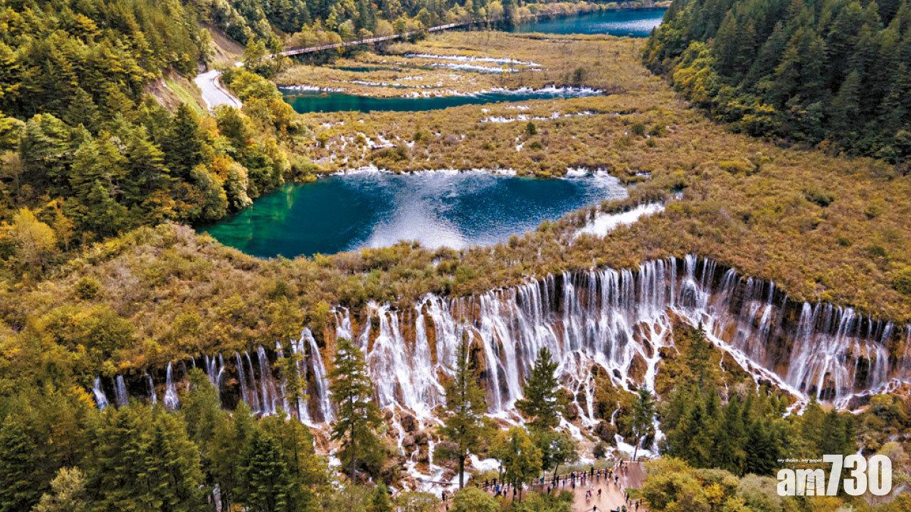 圖片新聞 : 重生