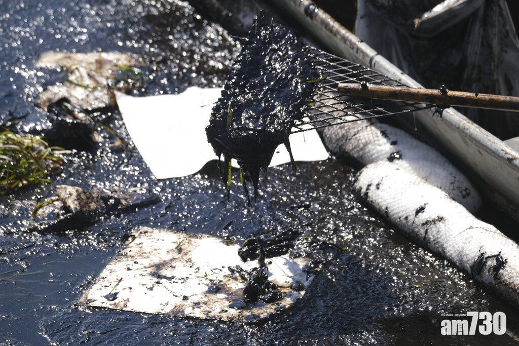 有片｜疑海底油管漏57萬升原油 南加州海灘遍布油污現死魚 恐爆生態災難