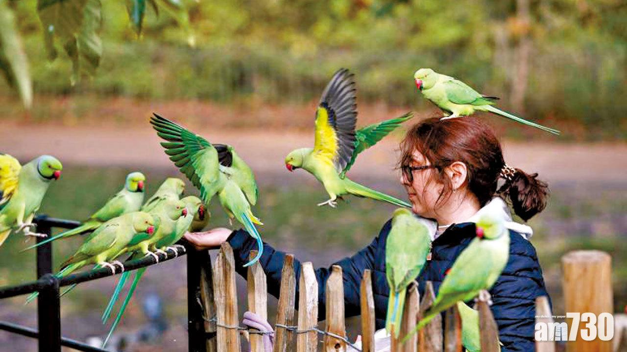可人傳人｜症狀似新冠肺炎 浙江麗水7人染鸚鵡熱釀1死