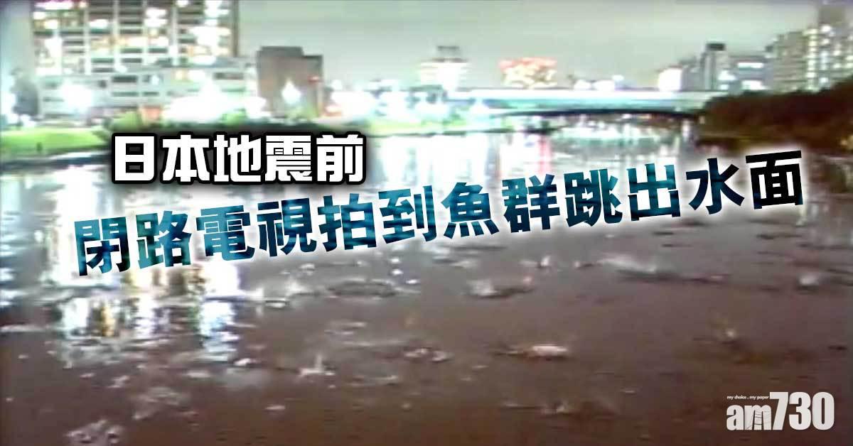 地震前閉路電視拍到魚群跳出水面