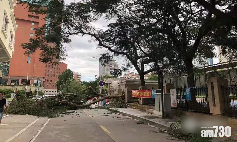 圓規襲華南｜福建發颱風橙色預警 沿岸風力高達14級