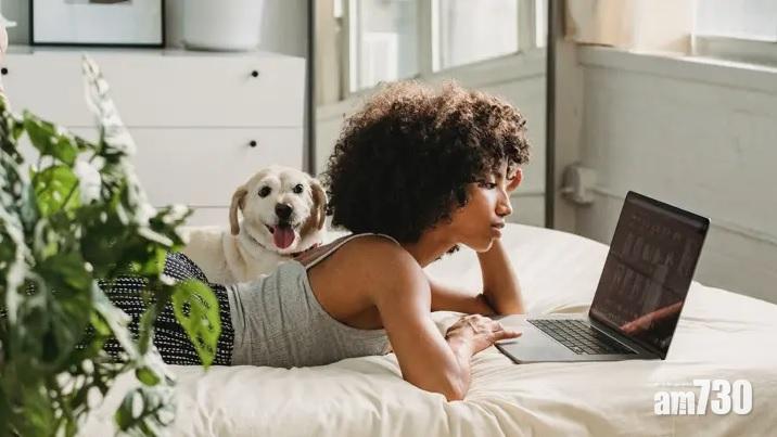 打工仔夢寐以求的筍工