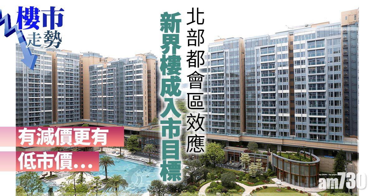 樓市走勢｜北部都會區效應 新界樓成入市目標