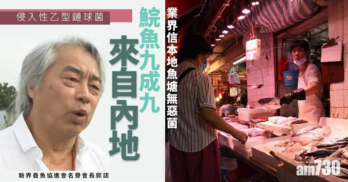 侵入性乙型鏈球菌｜指鯇魚九成九來自內地　業界信本地魚塘無惡菌