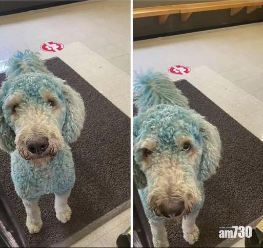 多相｜甩甩漏漏  BB性別揭曉派對傳歡笑