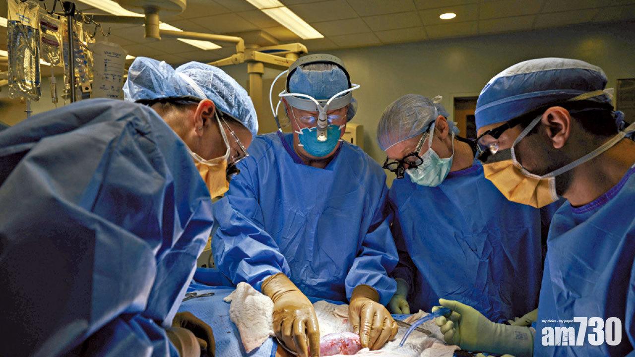 基因豬腎移植人體 無排斥 全球首例