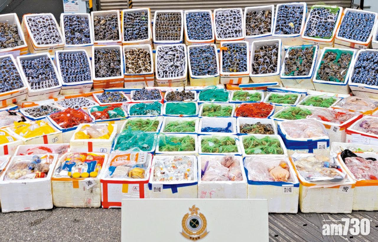 聯合行動 口岸檢1.7萬隻疑走私大閘蟹 47歲貨車司機被捕