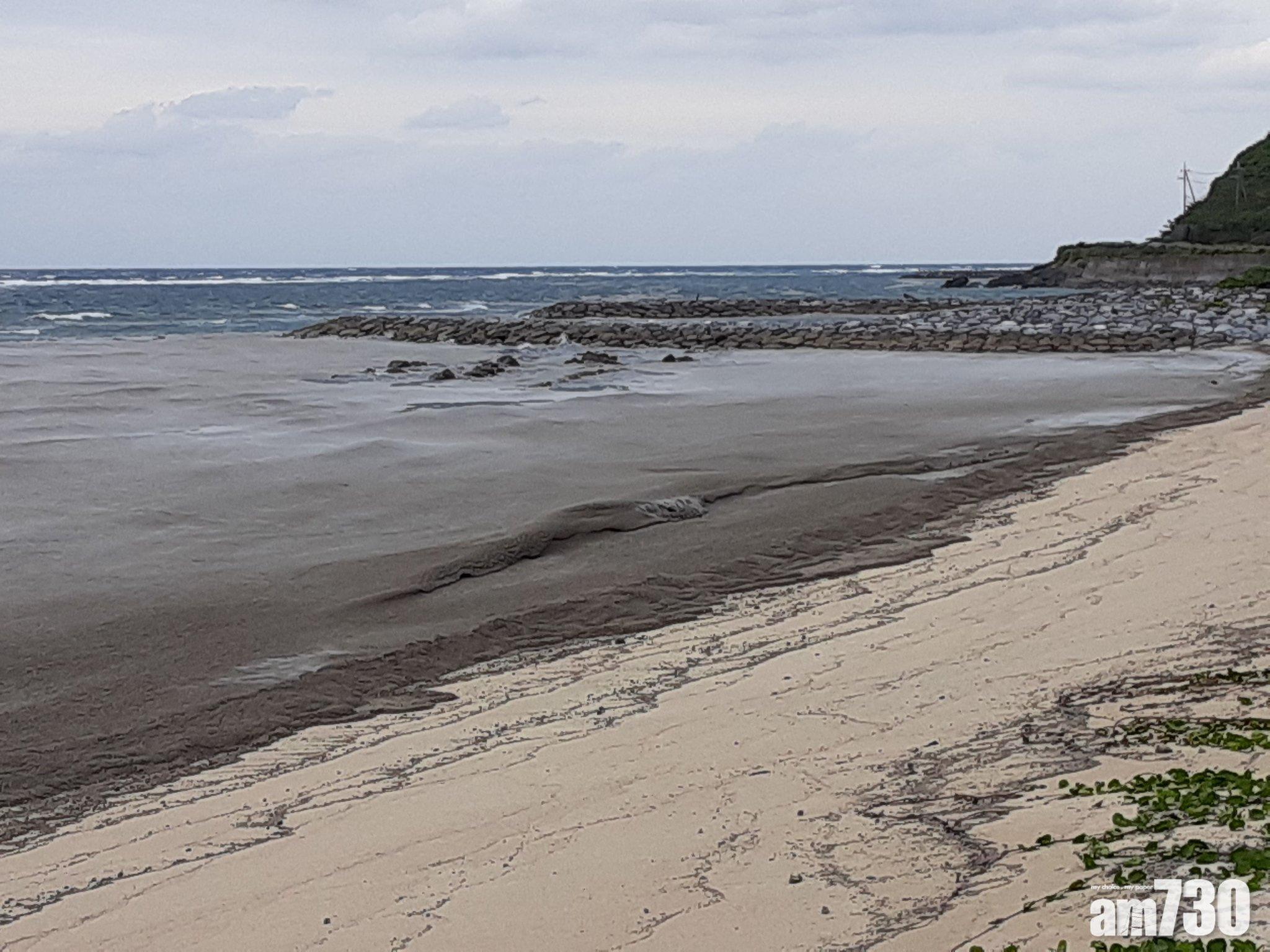 沖繩大量浮石影響生態　養殖場魚苗誤食致死