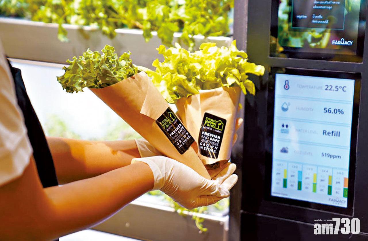 智慧生活丨走入社群 FarmacyHK水耕細作 未來的移動農場
