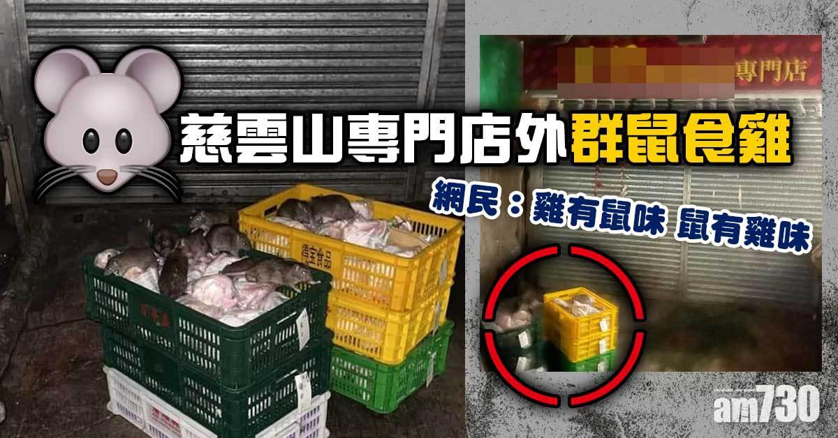 網上熱話｜慈雲山專門店外群鼠食雞　網民：好恐怖見到好嘔心