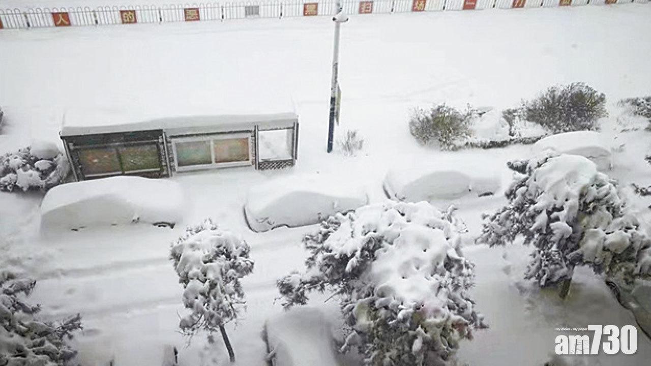 圖片新聞｜雪災