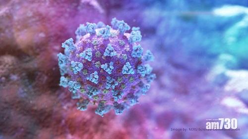 新冠肺炎｜科學家發現「超級」抗體　可防新冠病毒及其變種