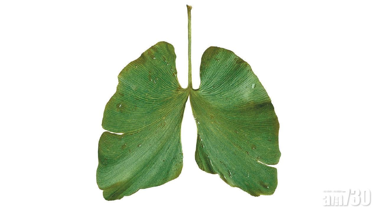 肺癌篩查 隨時救你一命