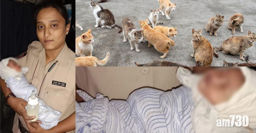 印度5個月大B女被棄水渠  群貓大聲喵喵叫「通知」救人