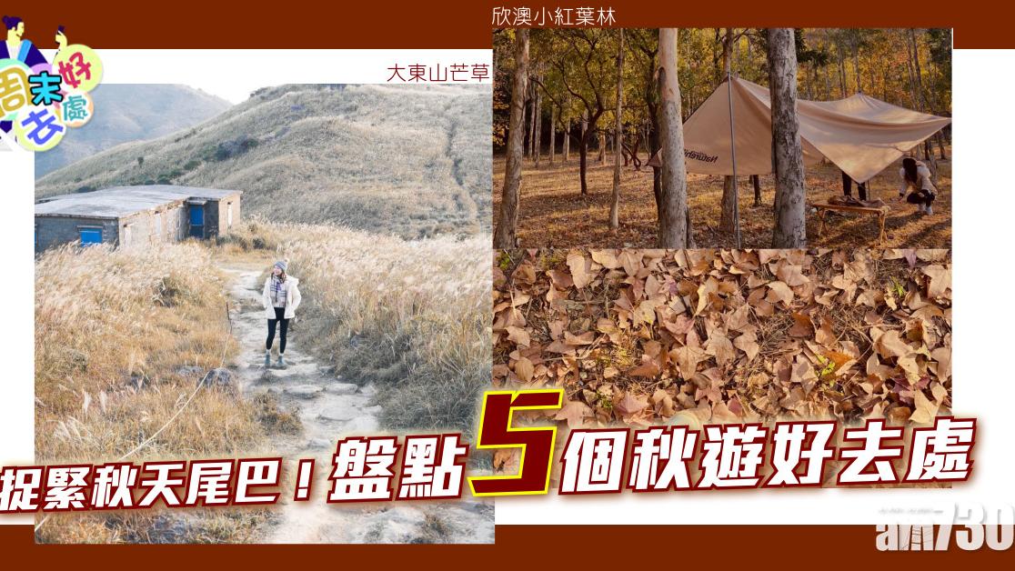 5個秋遊好去處　行遍「香港小長城」、欣澳小紅葉林、大東山芒草