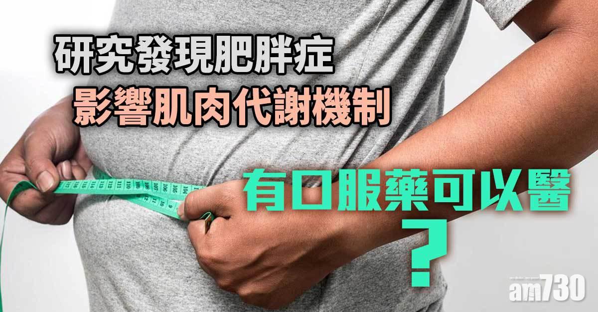 港大研究：發現肥胖症影響肌肉代謝機制 有口服藥可以醫？