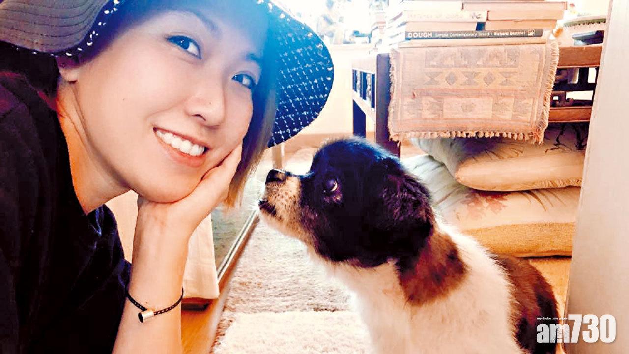 Kendy的佛系狗狗