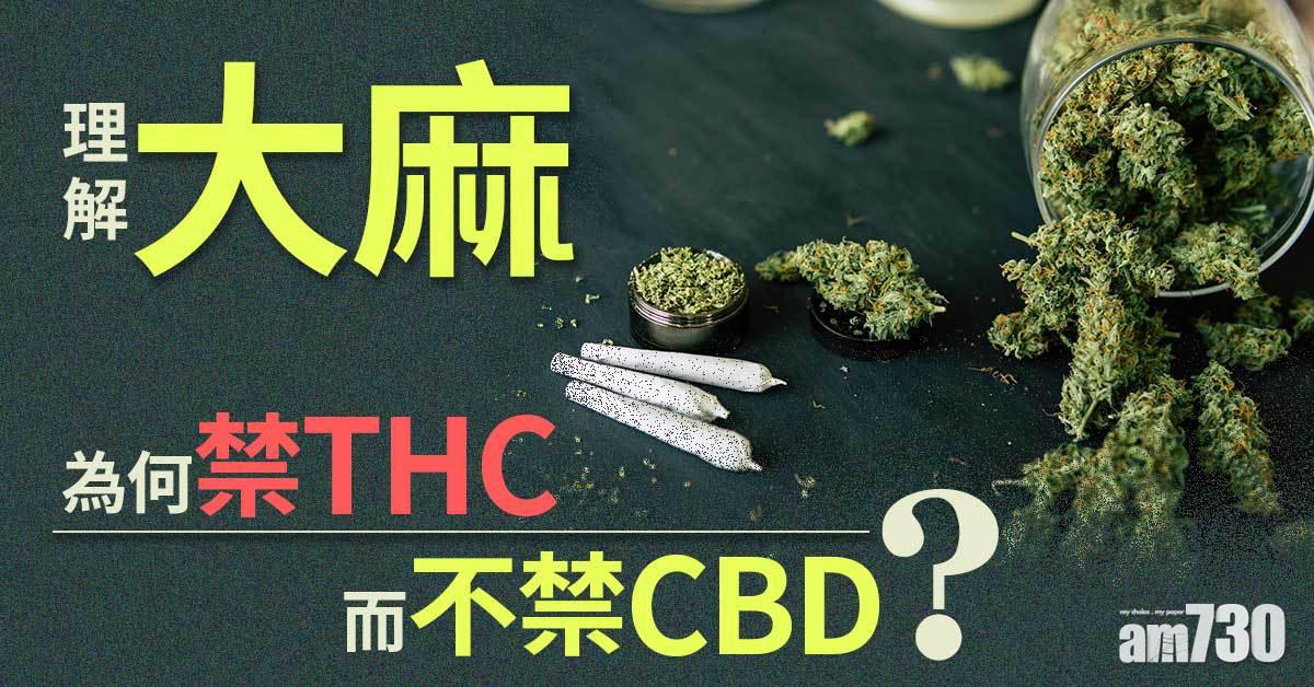 大麻｜點解THC禁CBD唔禁？