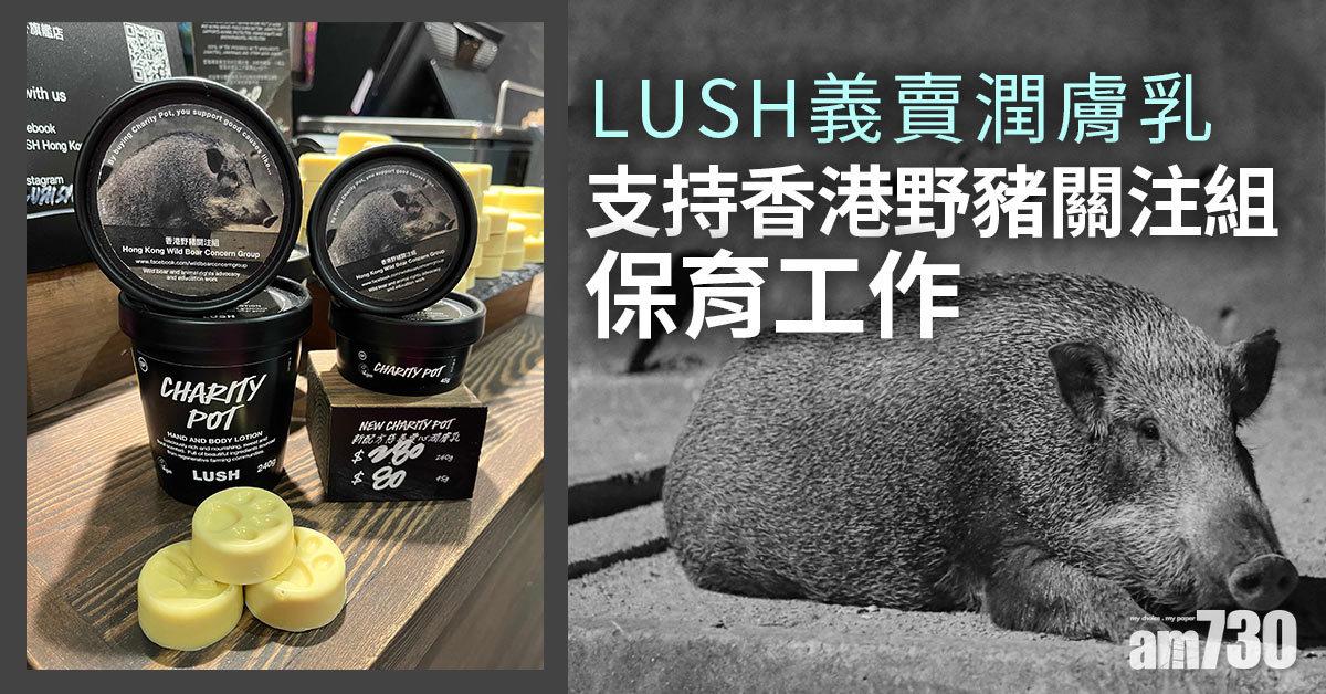 救助野豬｜LUSH慈善愛心潤膚乳義賣 支持香港野豬關注組保育工作