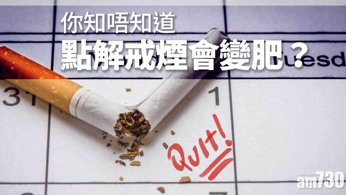 戒煙點解會變肥？原因係尼古丁影響消化吸收能力（am730製圖）