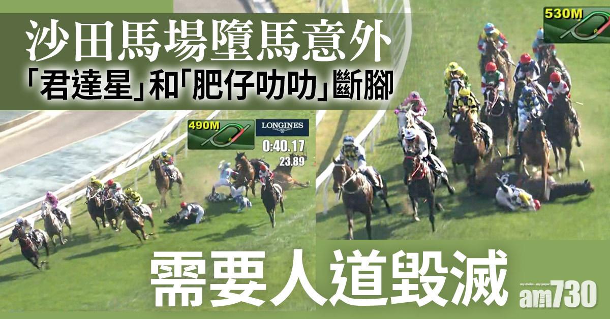 沙田馬場最少4名騎師墮馬 兩賽駒要人道毀滅