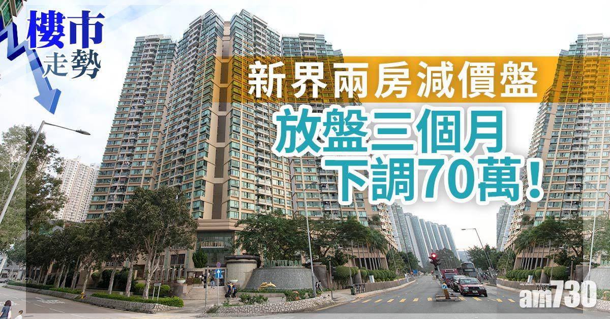 樓市走勢｜新界兩房減價盤！放盤三個月下調70萬