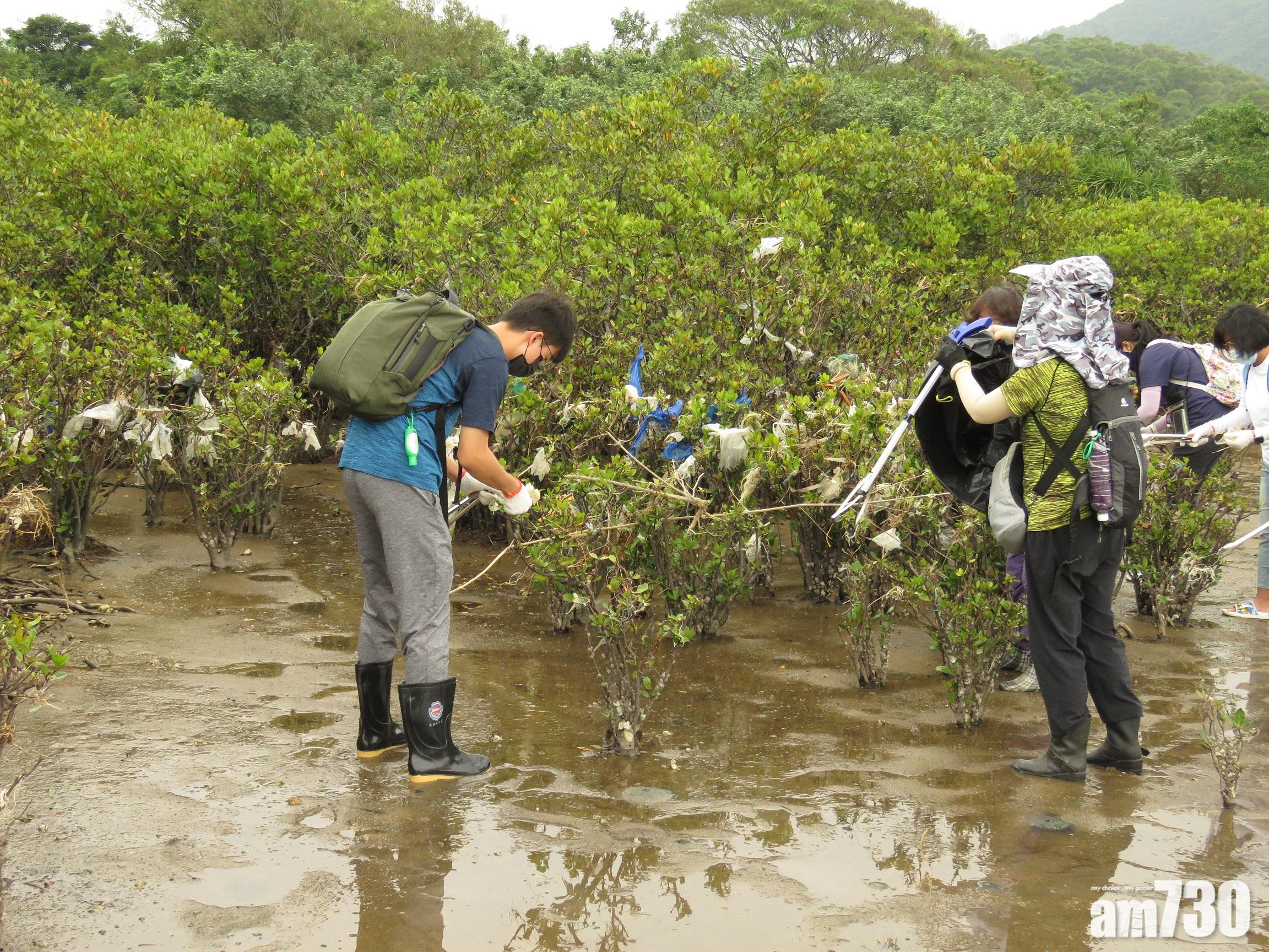 新地與綠色力量舉行11次清潔行動　檢900公斤海岸郊野垃圾