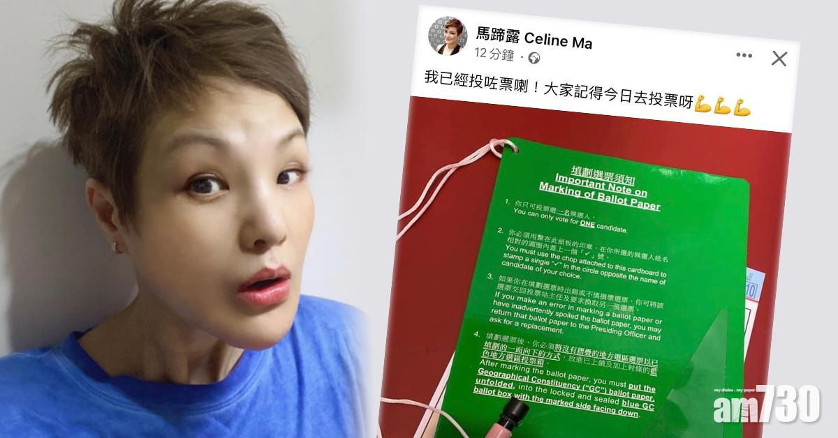 立法會選舉｜馬蹄露上載票站印章照片 知衰急刪po