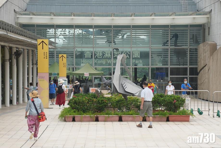 濕地公園黑臉琵鷺帶H5N1禽流感　漁護署已通知附近兩雞場