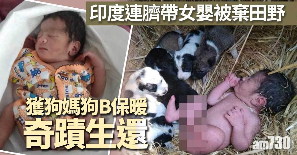 印度連臍帶女嬰被棄田野  獲狗媽狗B保暖奇蹟生還
