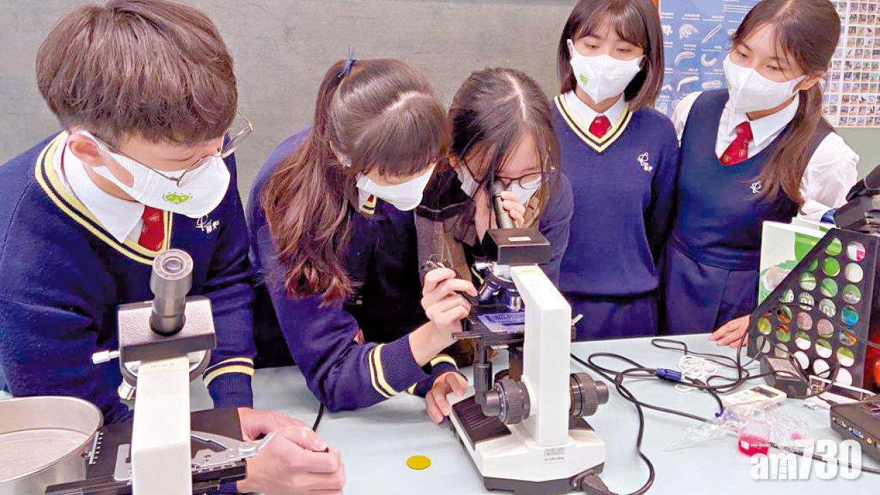 食物安全｜5中六生研究貝類海產 蟶子微塑膠含量最高