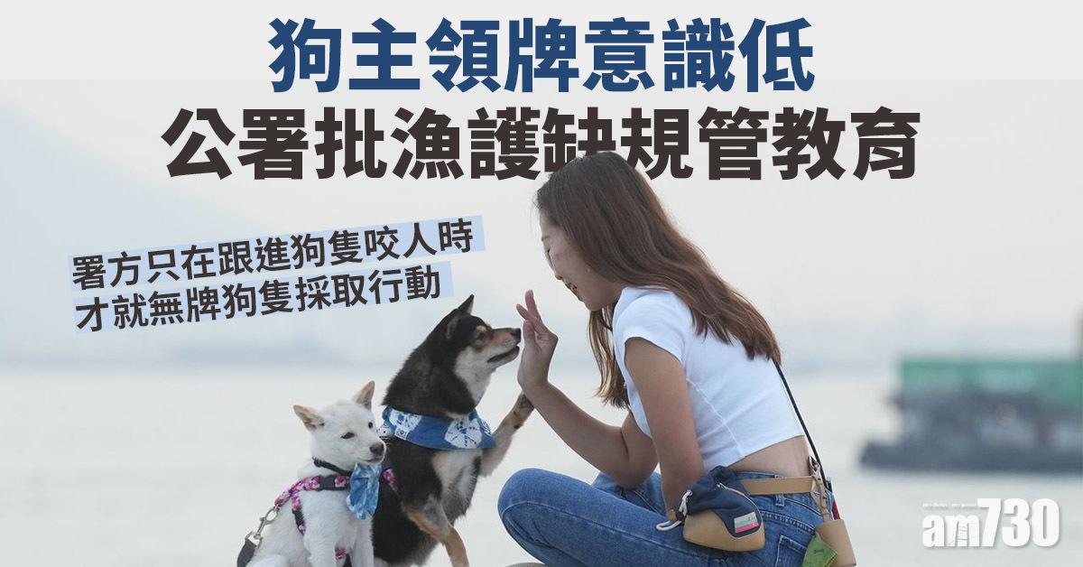 申訴專員｜狗主領牌意識低　公署批漁護缺規管教育