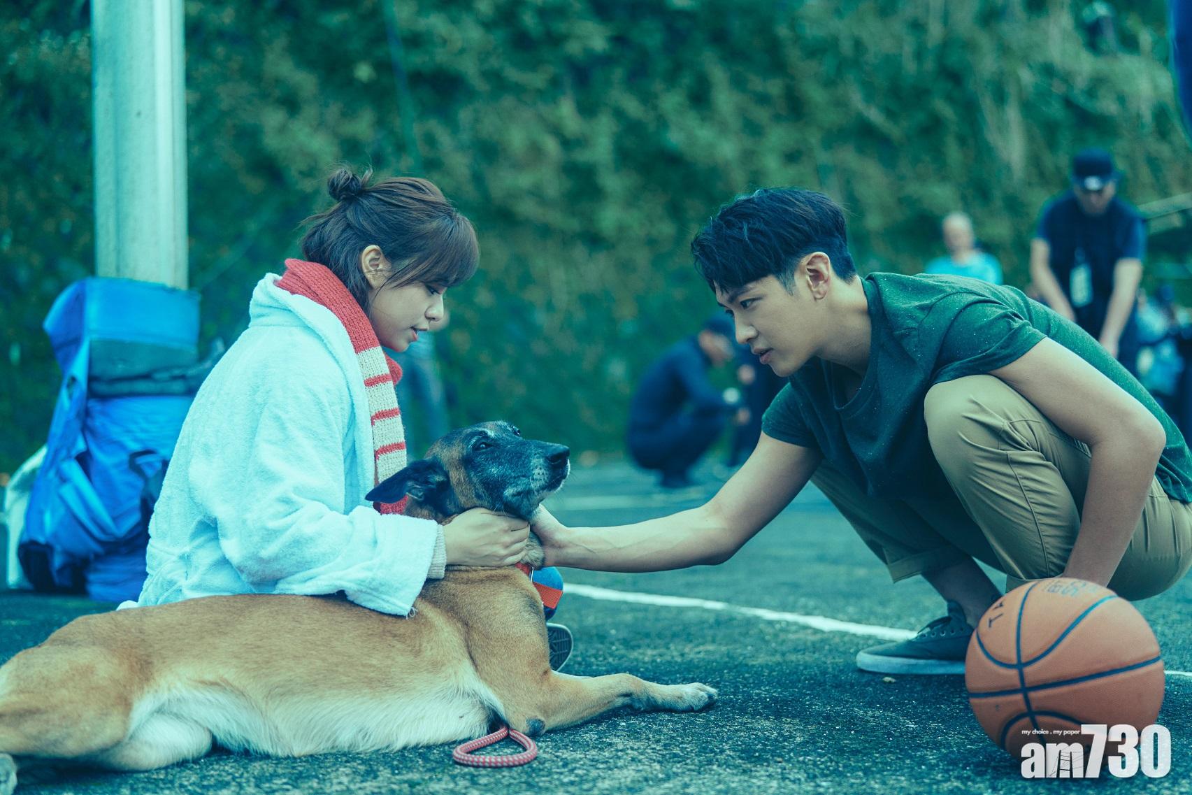 柯震東大讚毛孩「神主角」做淚點擔當   《月老》對撼荷李活大片票房破500萬