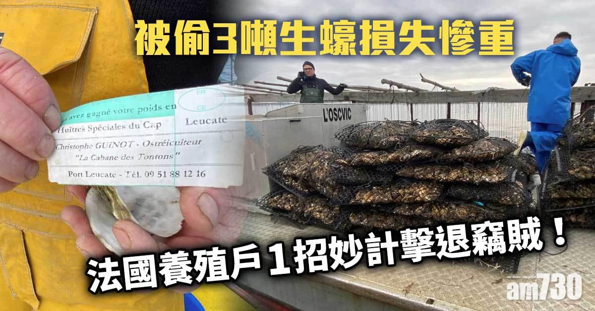 垂涎！被偷3噸生蠔損失慘重  法國養殖戶1招妙計擊退竊賊