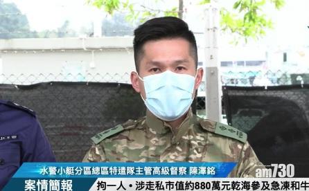 海關水警聯合反走私檢880萬乾海參急凍和牛拘1人