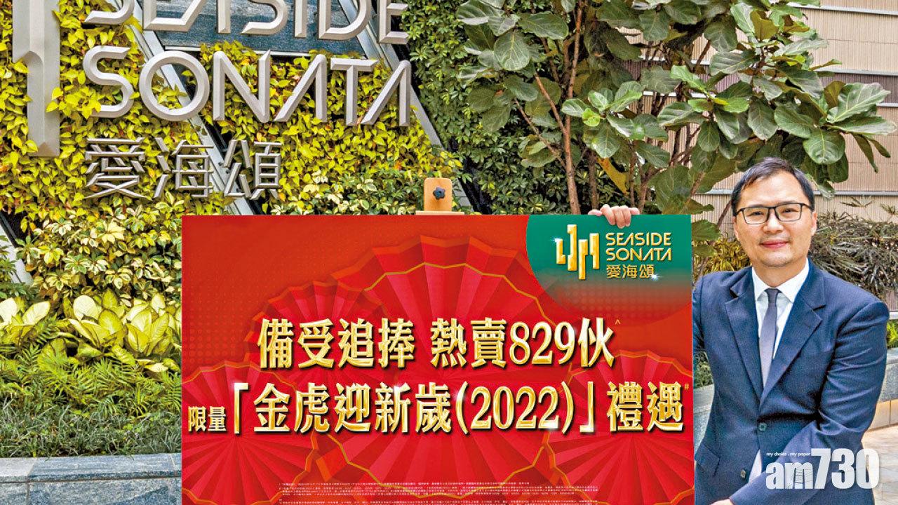 新盤餘貨撐市 發展商推虎年優惠