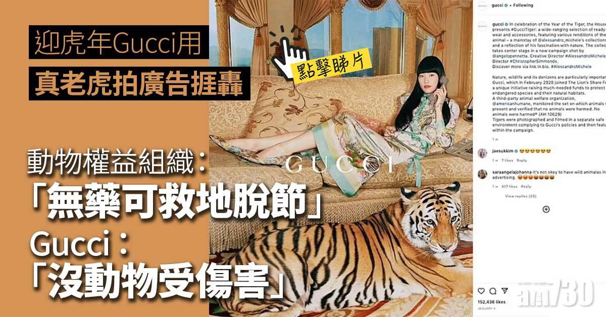 有片｜迎虎年Gucci用真老虎拍廣告捱轟  PETA斥「無藥可救地脫節」
