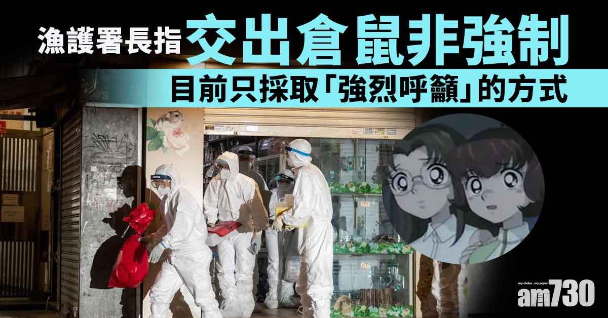 殺鼠令｜漁護署長：寵物店員感染源頭尚在調查　大埔倉庫有倉鼠初步陽性