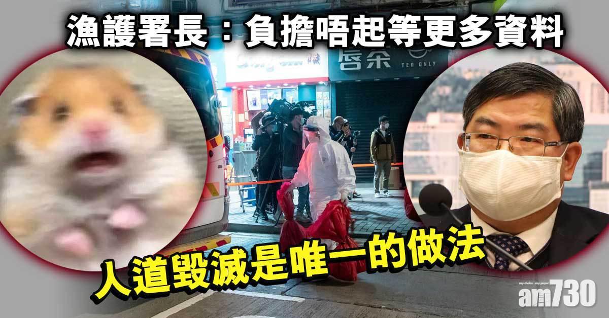 殺鼠令｜無資源反覆驗倉鼠　漁護署長：負擔唔起等更多資料