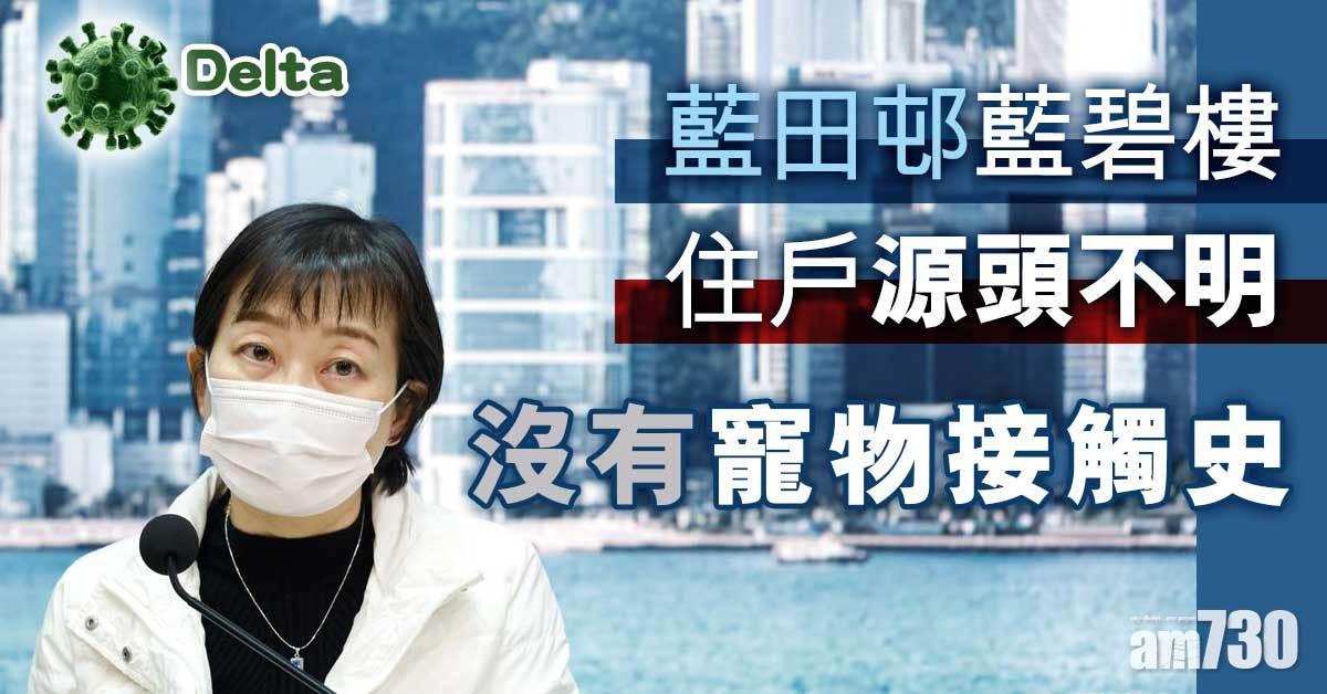 Delta｜藍田邨藍碧樓住戶源頭不明　沒有寵物接觸史