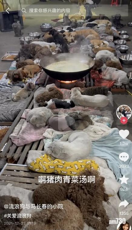 羅生門｜抖音救狗播主疑賣狗肉 內媒：警方稱未發現違法